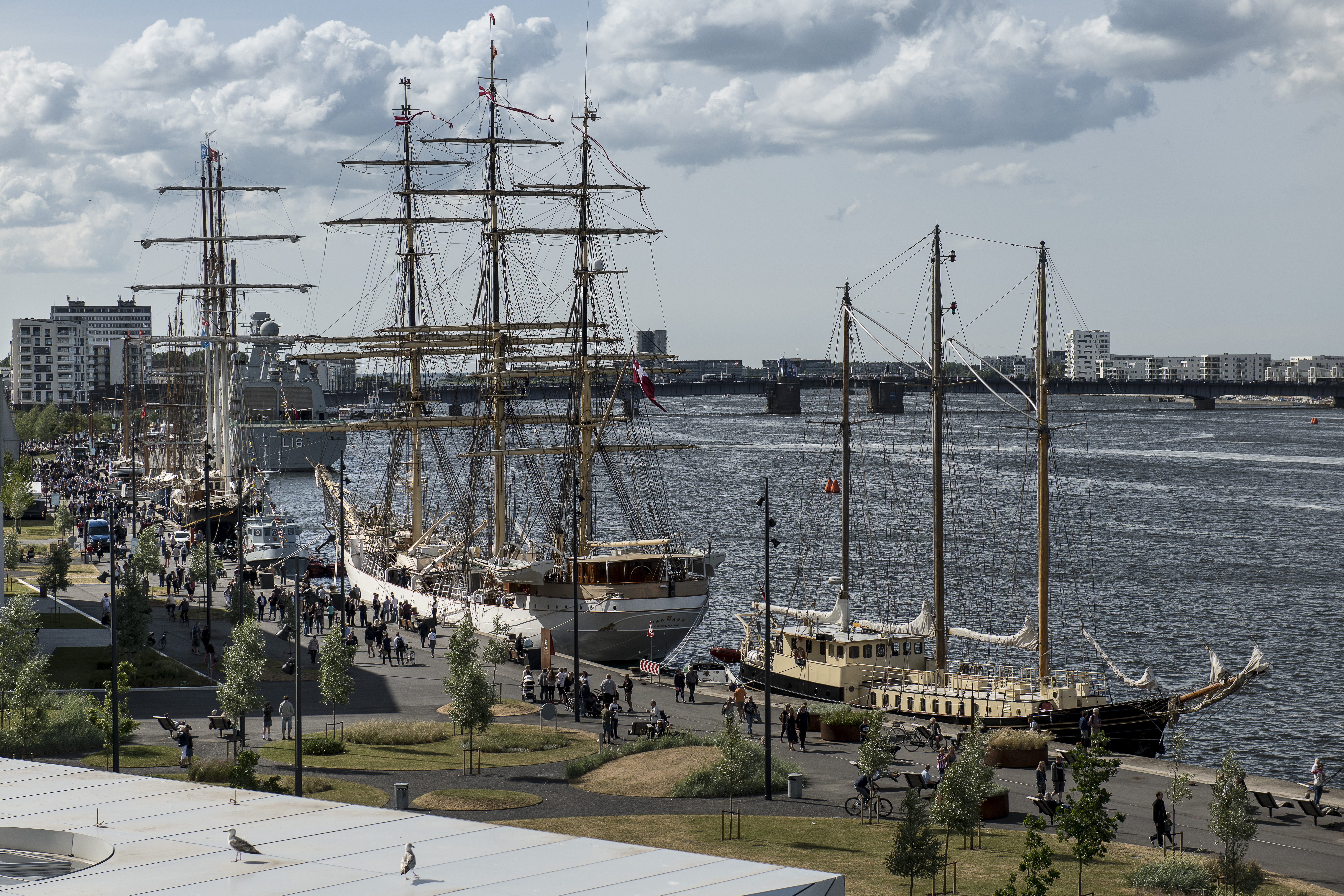 Aalborg Regatta